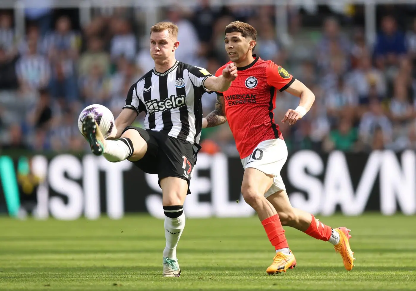 Match officials confirmed for Newcastle vs Brighton