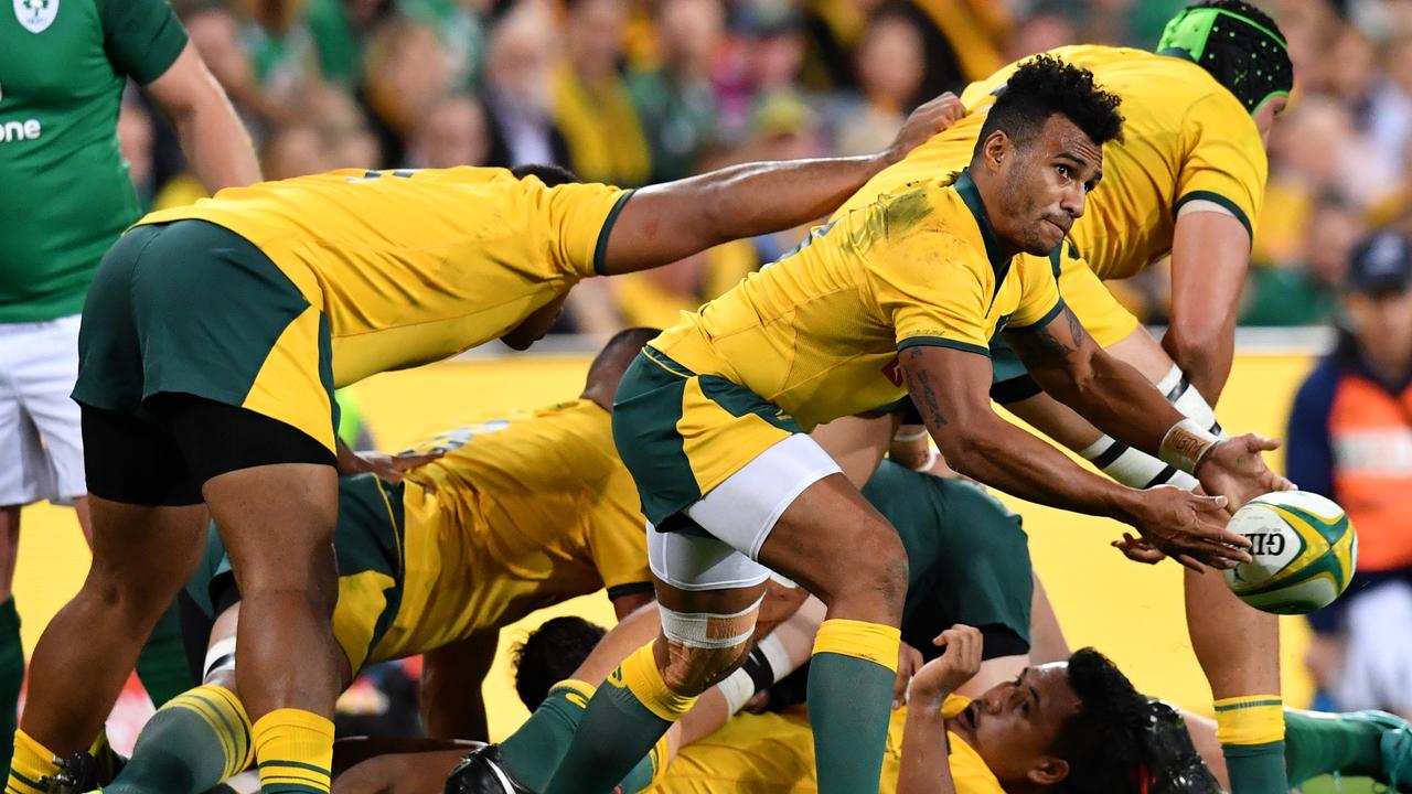 World Cup Rugby 2023: Australia vs Portugal Preview, Prediction & Betting Tips - 01/10/23